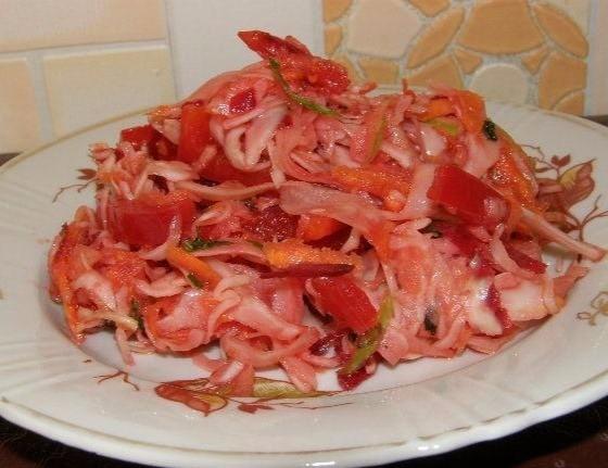 Салат з капустою морквою болгарським перцем і яблуками рецепт з фото покроково 