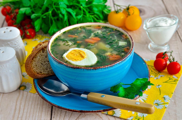 Суп з кропиви з яйцем картоплею і куркою рецепт з фото покроково і відео 