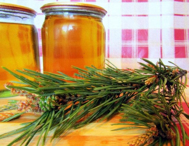 Сосновий сироп (сосновий мед) з пагонів сосни рецепт з фото покроково і відео 