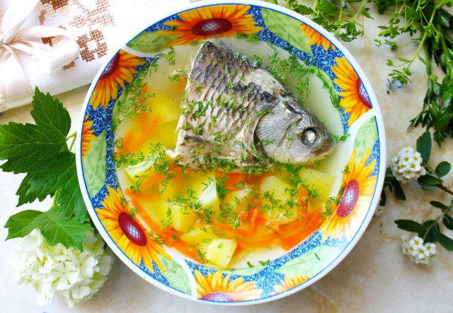 Рибний суп вуха з карася в домашніх умовах рецепт з фото покроково 