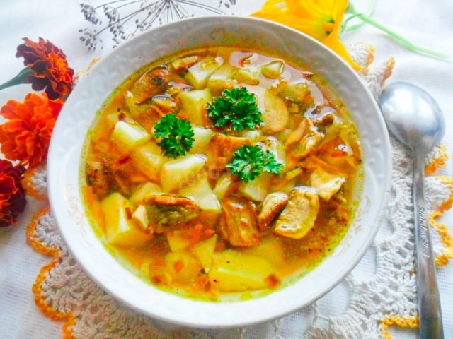 Суп із заморожених білих грибів рецепт з фото покроково 