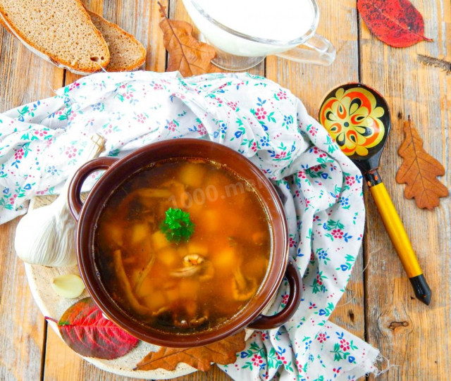 Грибний суп зі свіжих опеньків рецепт з фото покроково 