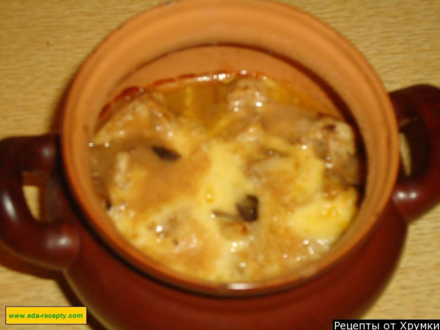 Жульєн з курячим філе і свіжими грибами рецепт з фото покроково 