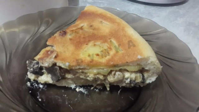 Наливний пиріг з білими грибами і плавленим сиром рецепт з фото покроково 
