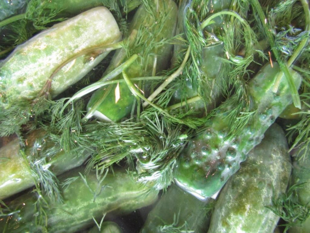 Хрусткі малосольні огірки на мінеральній воді на зиму рецепт з фото покроково і відео 