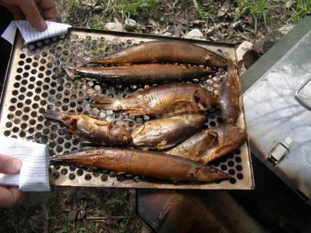 Домашня рибка гарячого копчення рецепт з фото покроково 
