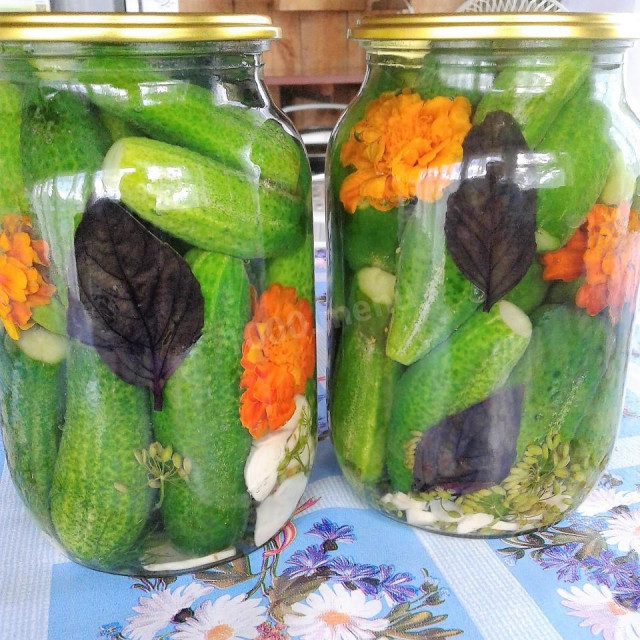 Огірки консервовані з базиліком і квітами чорнобривців рецепт з фото покроково 