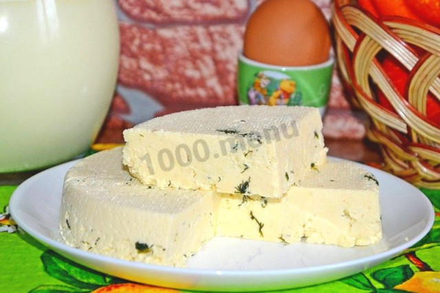 Сир із зеленню рецепт з фото покроково 