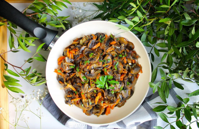 Смажені гриби з цибулею і морквою на сковороді рецепт з фото покроково і відео 