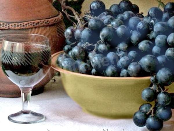 Домашнє вино з синього винограду рецепт з фото