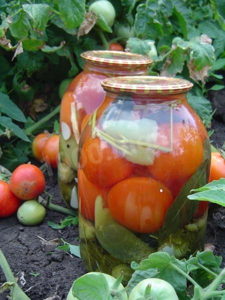 Огірки з помідорами на зиму в Асорті з кропом рецепт з фото покроково 