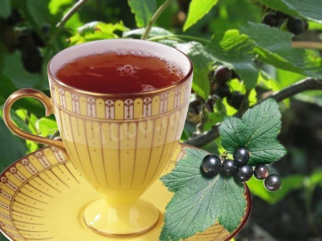Чай з листя смородини рецепт з фото 