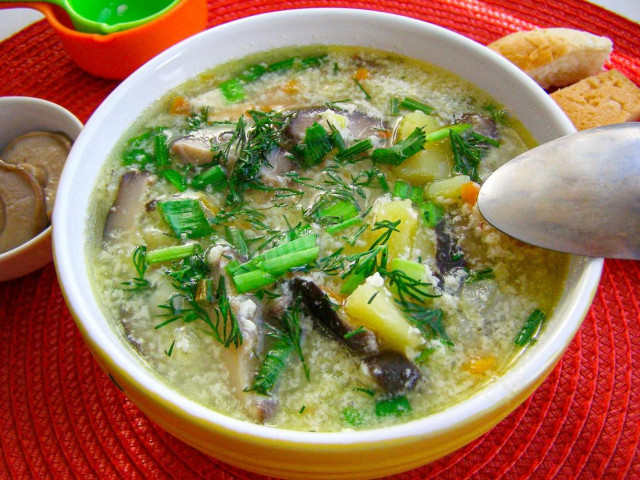 Груздянка суп з солоних груздів рецепт з фото покроково 