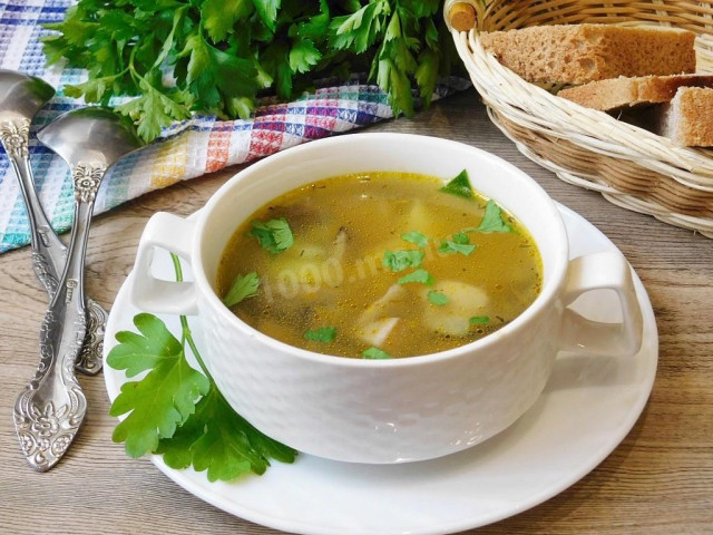 Суп зі свіжих білих грибів рецепт з фото покроково 