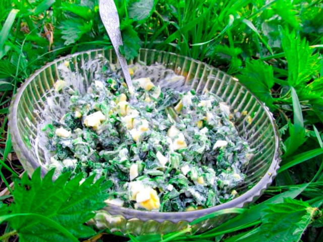 Салат з кропиви з яйцями на швидку руку рецепт з фото покроково і відео 