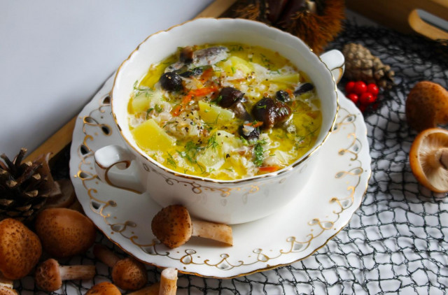 Вершковий суп з опеньками і гречкою рецепт з фото покроково 