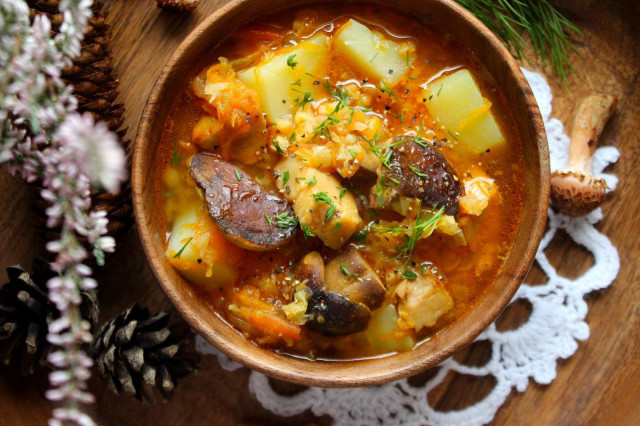 Суп з червоної сочевиці і лісових грибів рецепт з фото покроково 