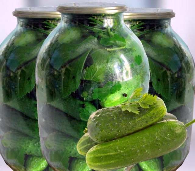 Огірки з горілкою на зиму хрусткі консервовані рецепт з фото 