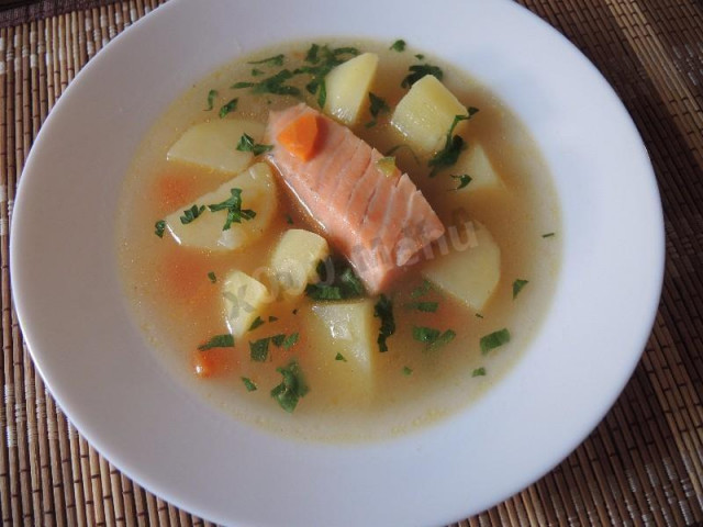 Рибний суп вуха з червоної риби з кінзою рецепт з фото покроково 