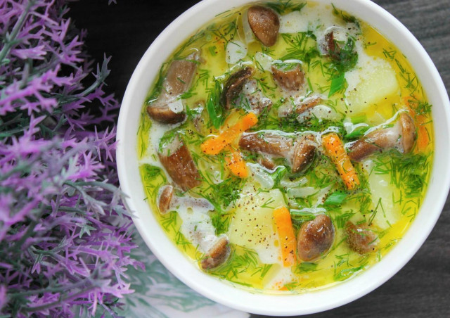 Суп з плавленим сиром і лісовими опеньками рецепт з фото покроково 