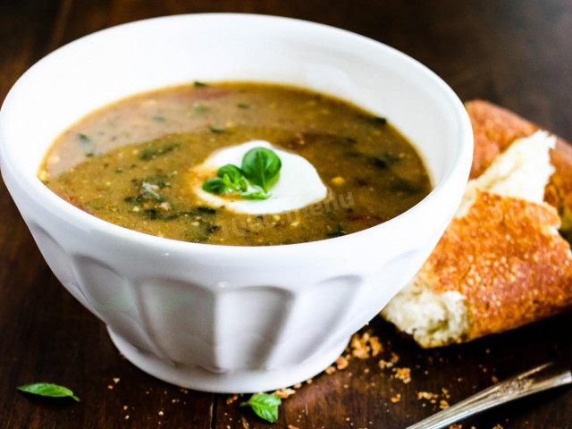 Суп з черепашачим м'ясом, овочами і запашними травами рецепт з фото 