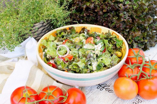 Салат з сиром помідорами і зеленню рецепт з фото покроково 