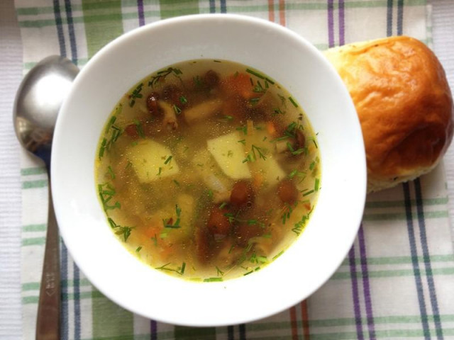 Суп з опеньками замороженими рецепт з фото 