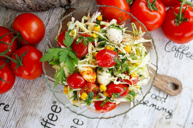 Салат з молодої капусти з моцарелою і помідорами черрі рецепт з фото покроково 