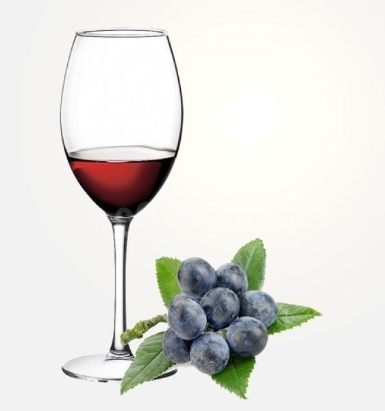 Домашнє вино з терну рецепт з фото 