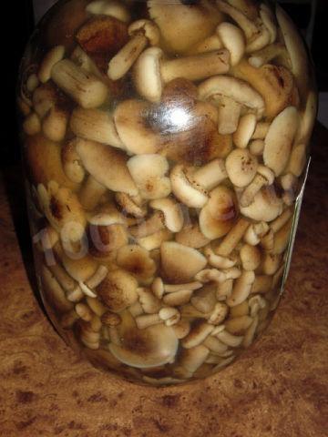 Швидкі мариновані гриби рецепт з фото 