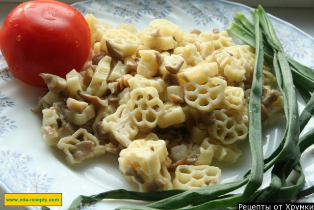 Макарони з сушеними грибами рецепт з фото покроково 