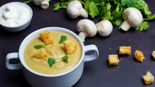 Овочевий крем-суп з грибами і вершками рецепт з фото покроково і відео 