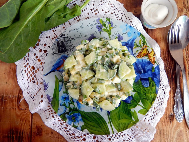 Салат огірки щавель яйця зелена цибуля сметана майонез рецепт з фото покроково 
