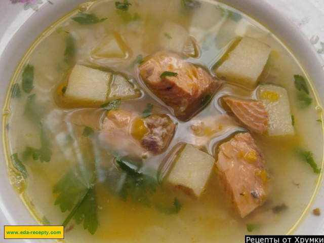 Простий суп з консервованої горбуші або лосося з овочами рецепт з фото крок за кроком 