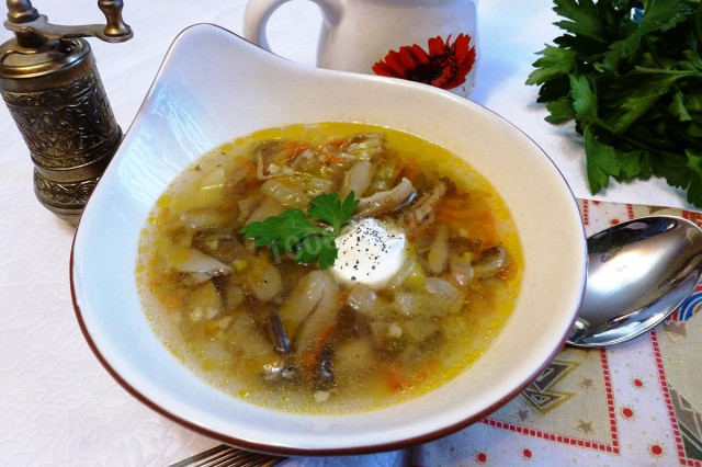Грибний суп з горькушками і вешенками рецепт з фото 