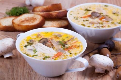 Грибний суп з сиром і куркою рецепт з фото покроково 