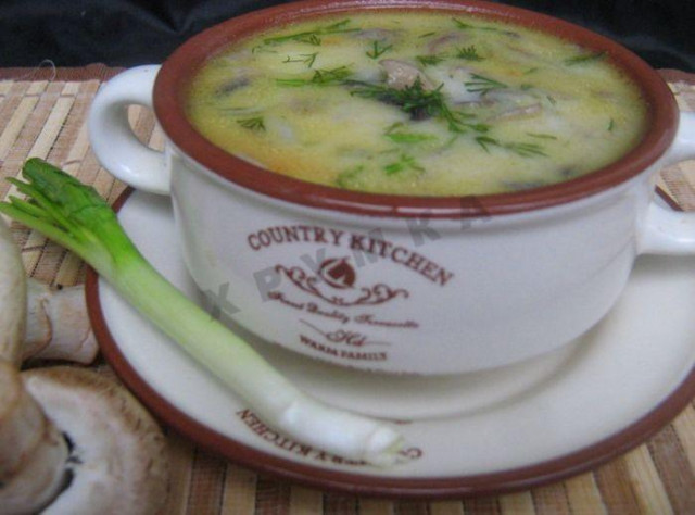 Суп з грибами печерицями сиром фаршем рецепт з фото покроково 