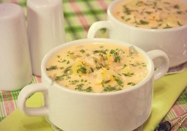 Курячий суп з плавленим сиром рецепт з фото покроково 