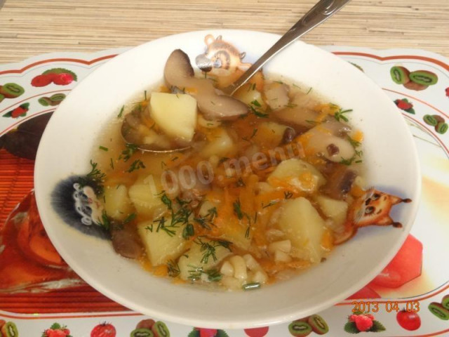 Грибний суп з лісових грибів з вермішеллю і картоплею рецепт з фото 