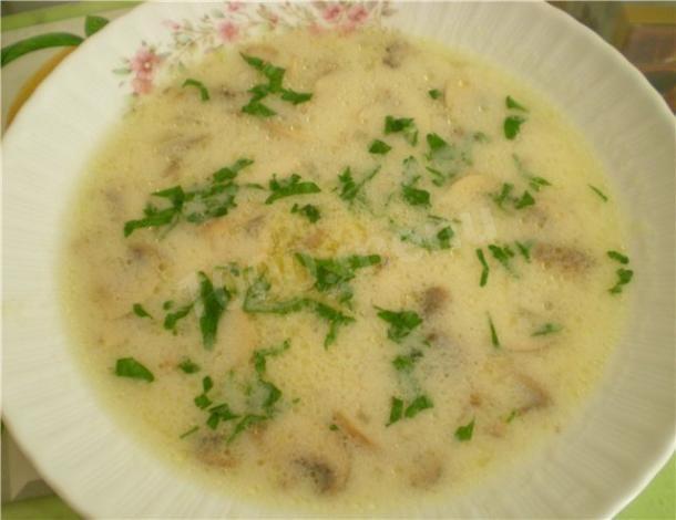 Суп грибний на салі з борошном рецепт з фото 