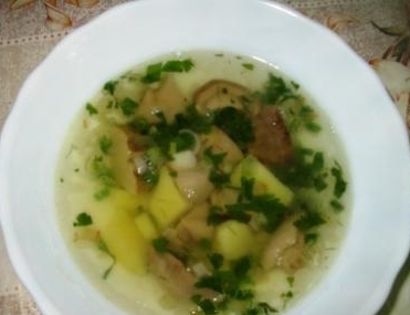 Суп зі свіжих білих грибів з картоплею і зеленою цибулею рецепт з фото покроково 