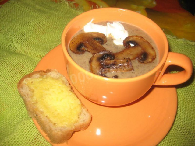 Грибний суп-пюре на молоці зі свіжих грибів рецепт з фото покроково 